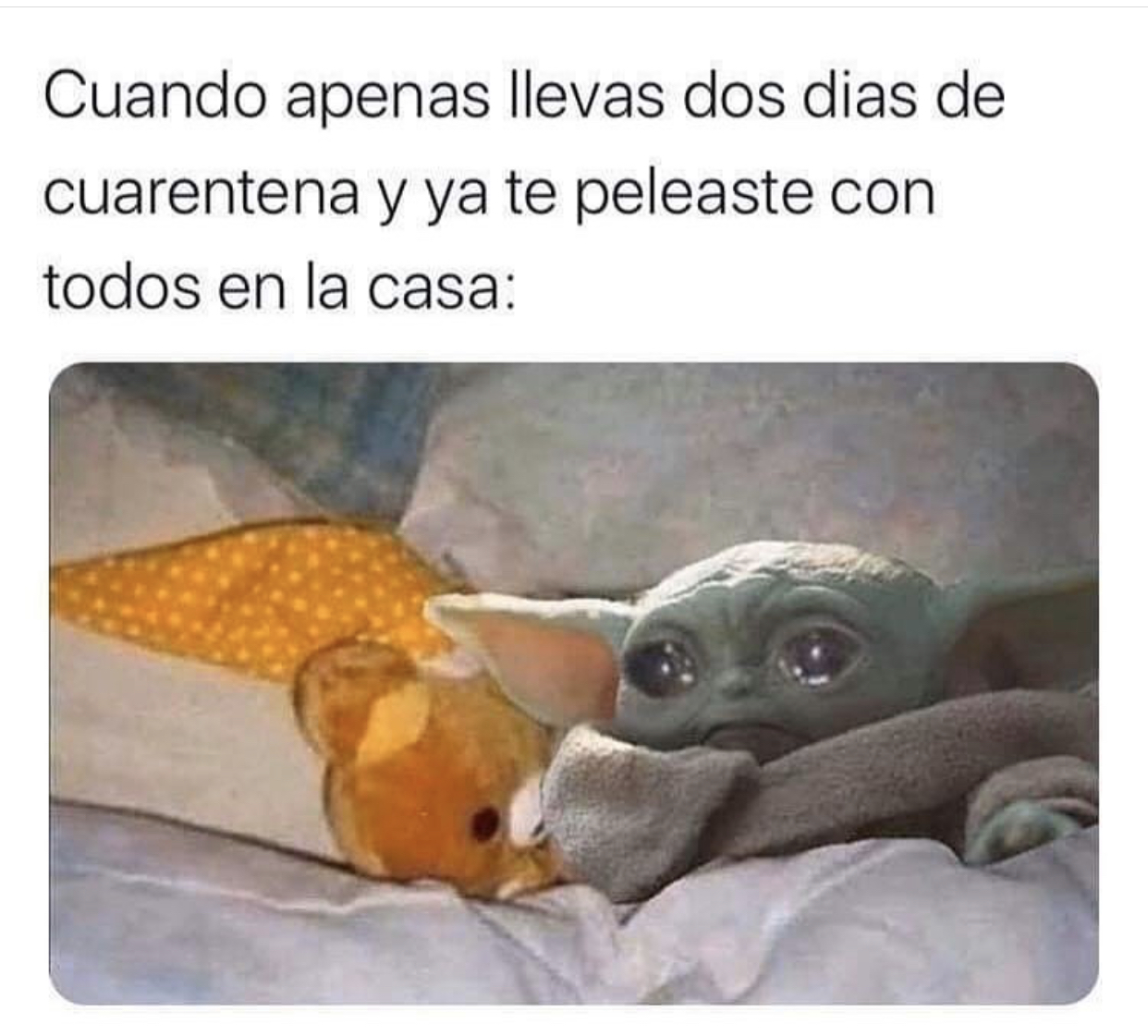 Memes de la cuarentena por Coronavirus