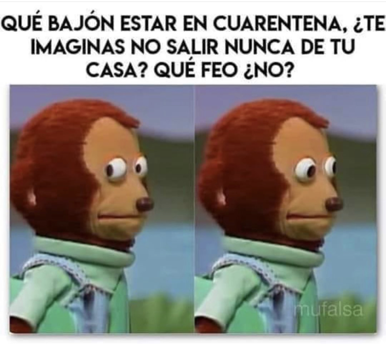 Memes de la cuarentena por Coronavirus