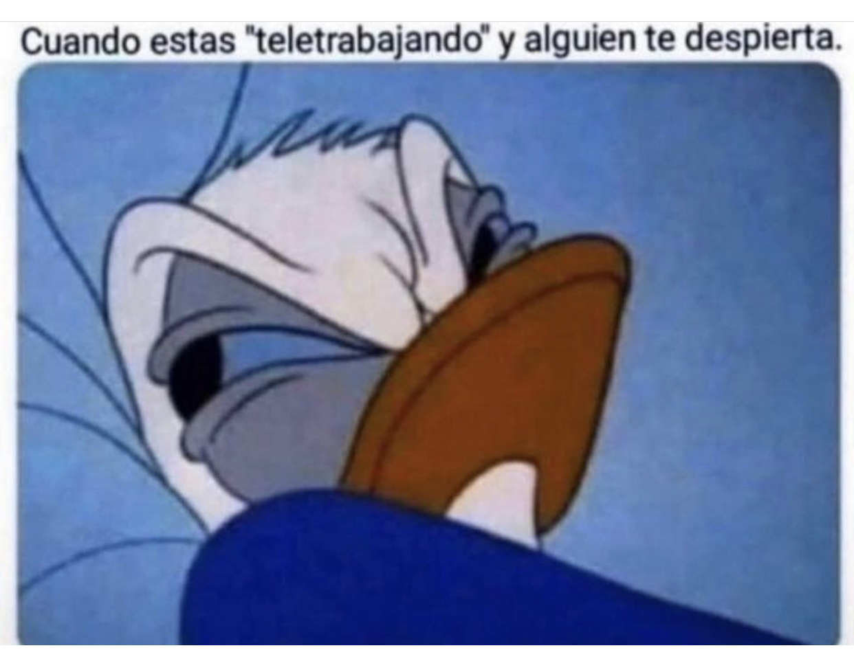 Memes de la cuarentena por Coronavirus
