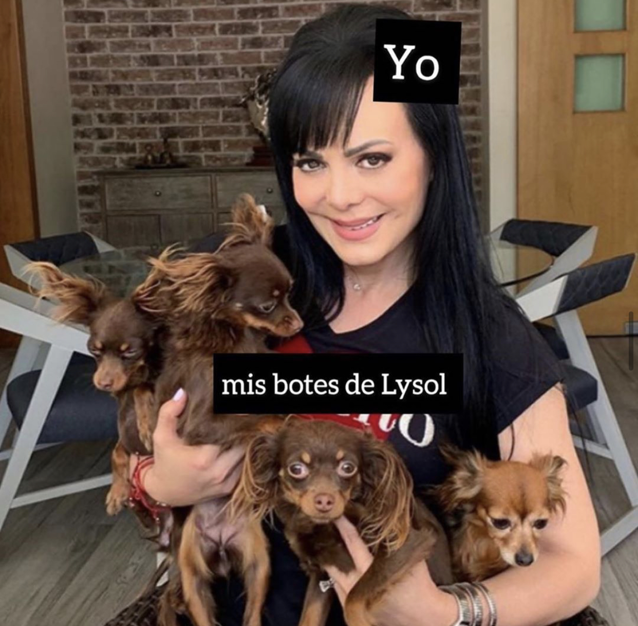 Memes de la cuarentena por Coronavirus
