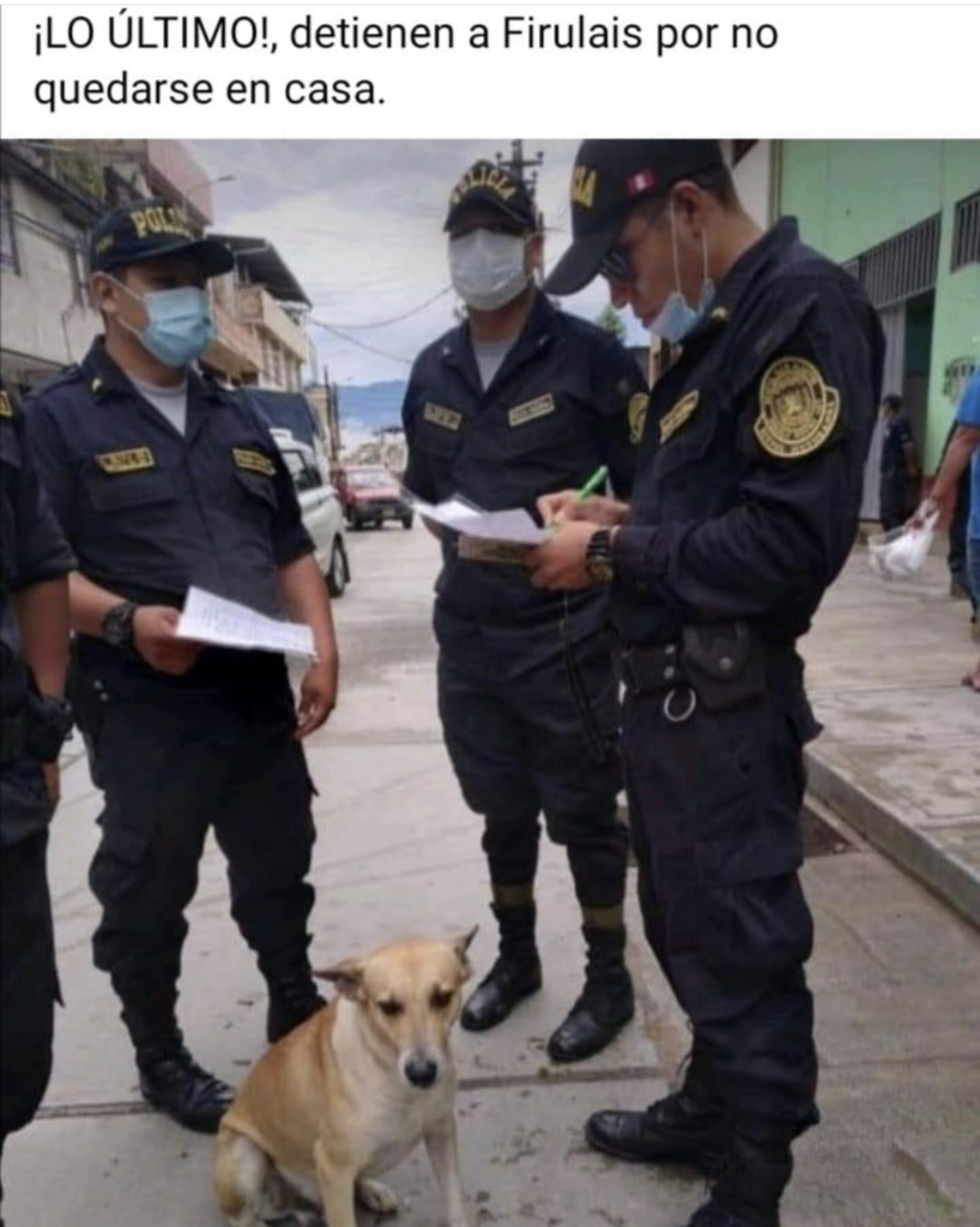 Memes de la cuarentena por Coronavirus