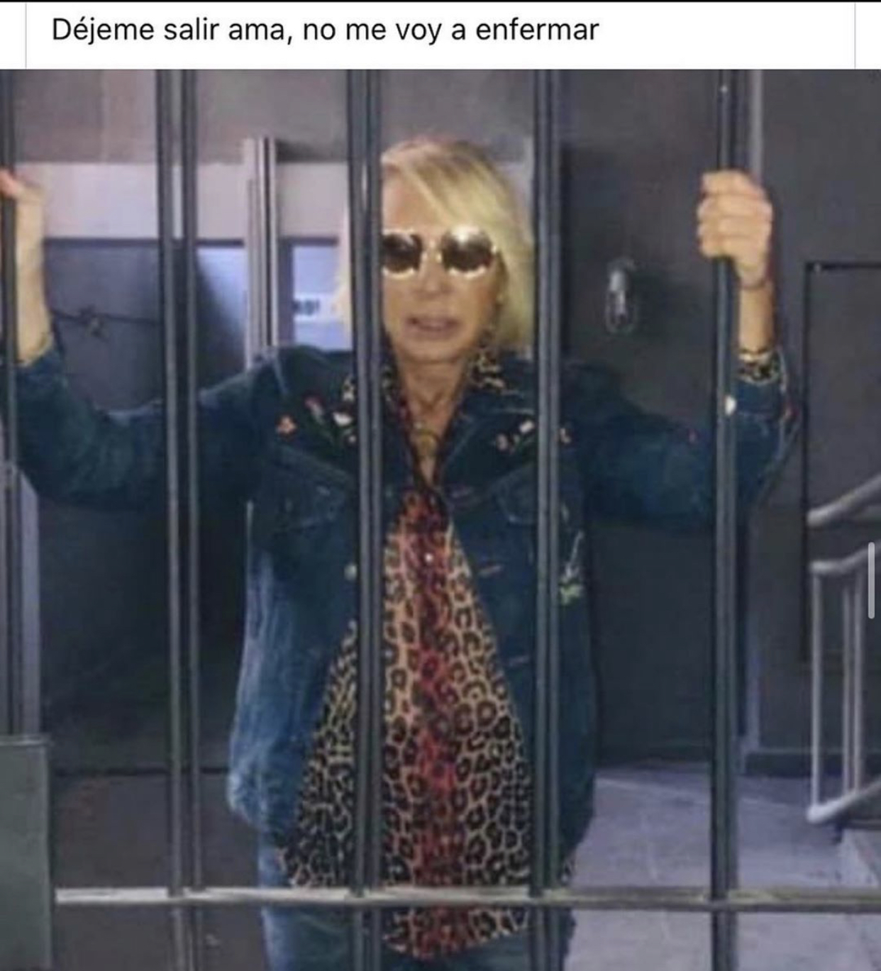Memes de la cuarentena por Coronavirus