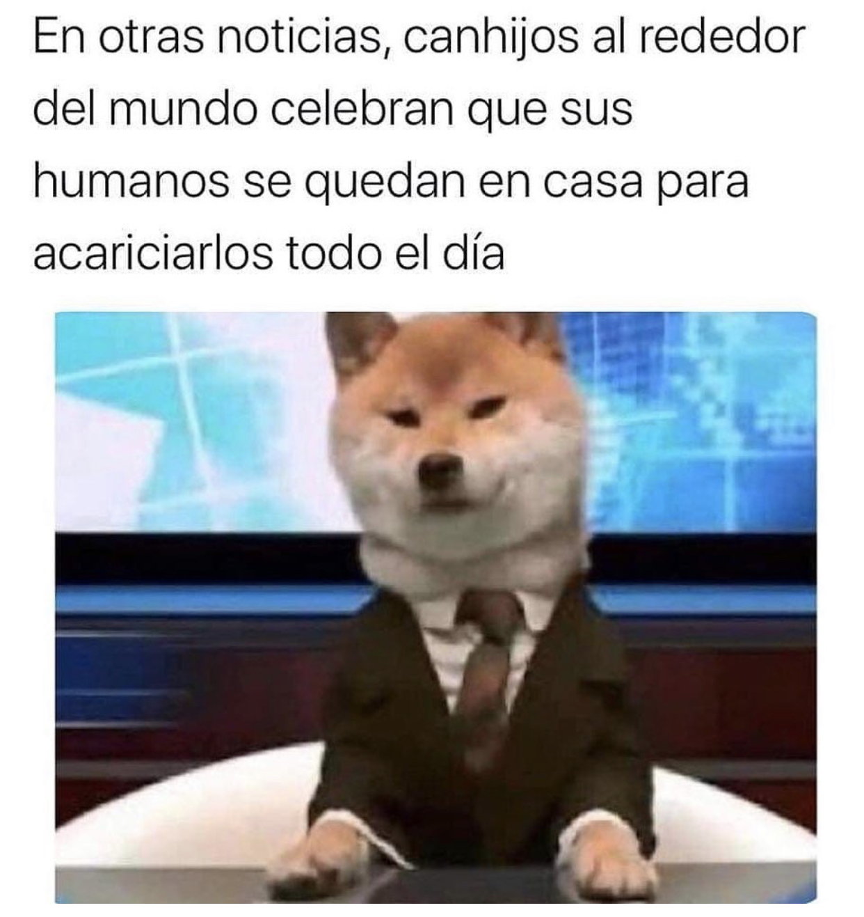 Memes de la cuarentena por Coronavirus