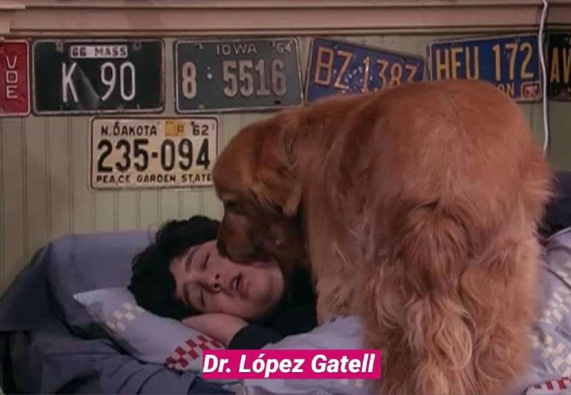 Memes del Dr. Hugo López-Gatell de quédate en casa