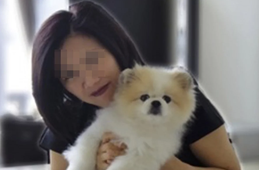 Muere el perro pomeranian que dio positivo a Coronavirus en China