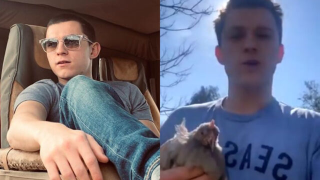Tom Holland compra gallina ponedora por desabasto de huevo