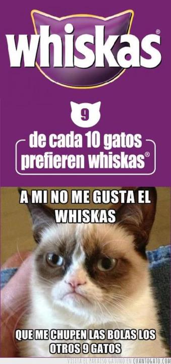 whiskas malo para los gatos