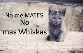 whiskas mata gatos