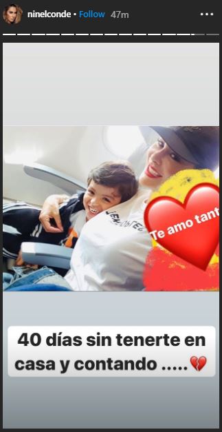 Ninel Conde demanda a Giovanni Medina; secuestró a su hijo