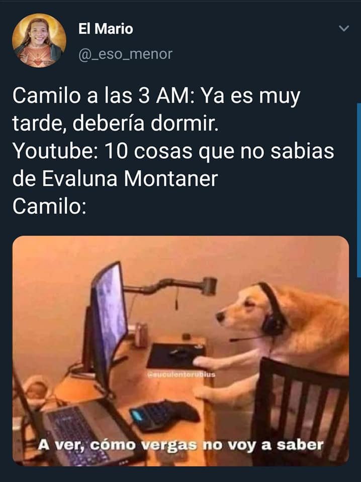 Memes de Camilo y Evaluna pra saber quiénes son en Instagram