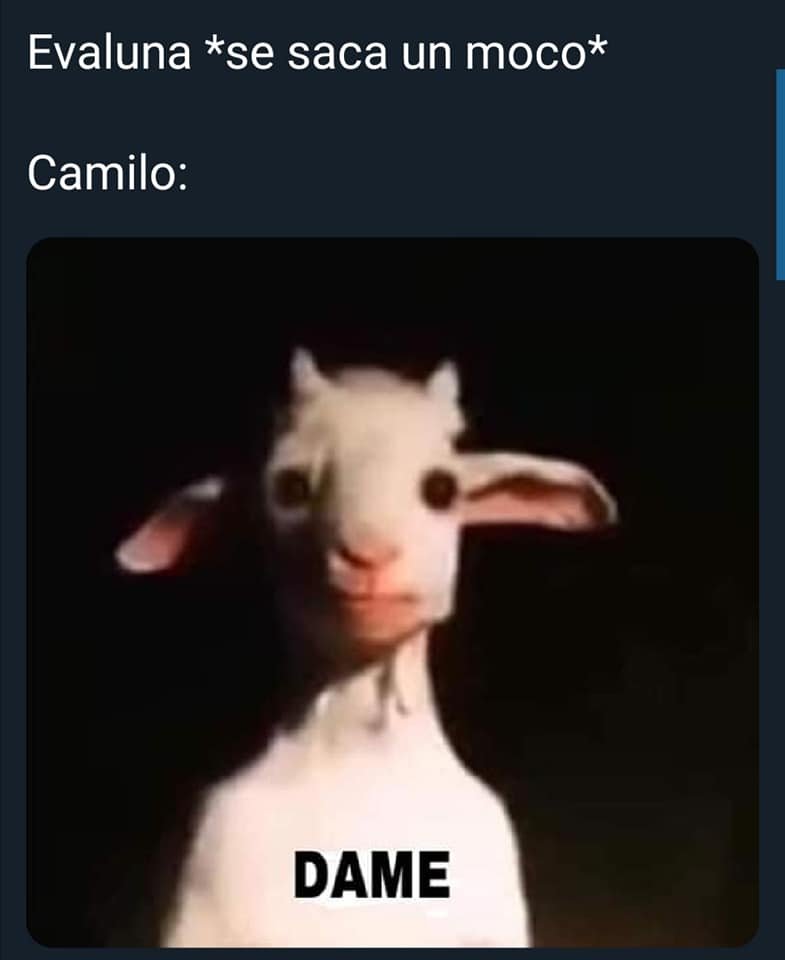 Memes de Camilo y Evaluna pra saber quiénes son en Instagram