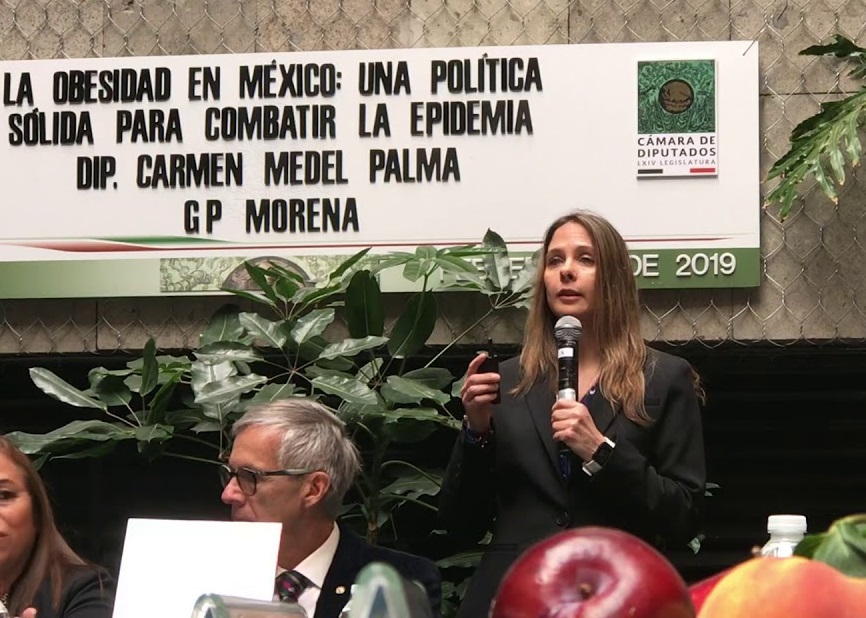 Arantxa Colchero: currículum de la esposa de López Gatell