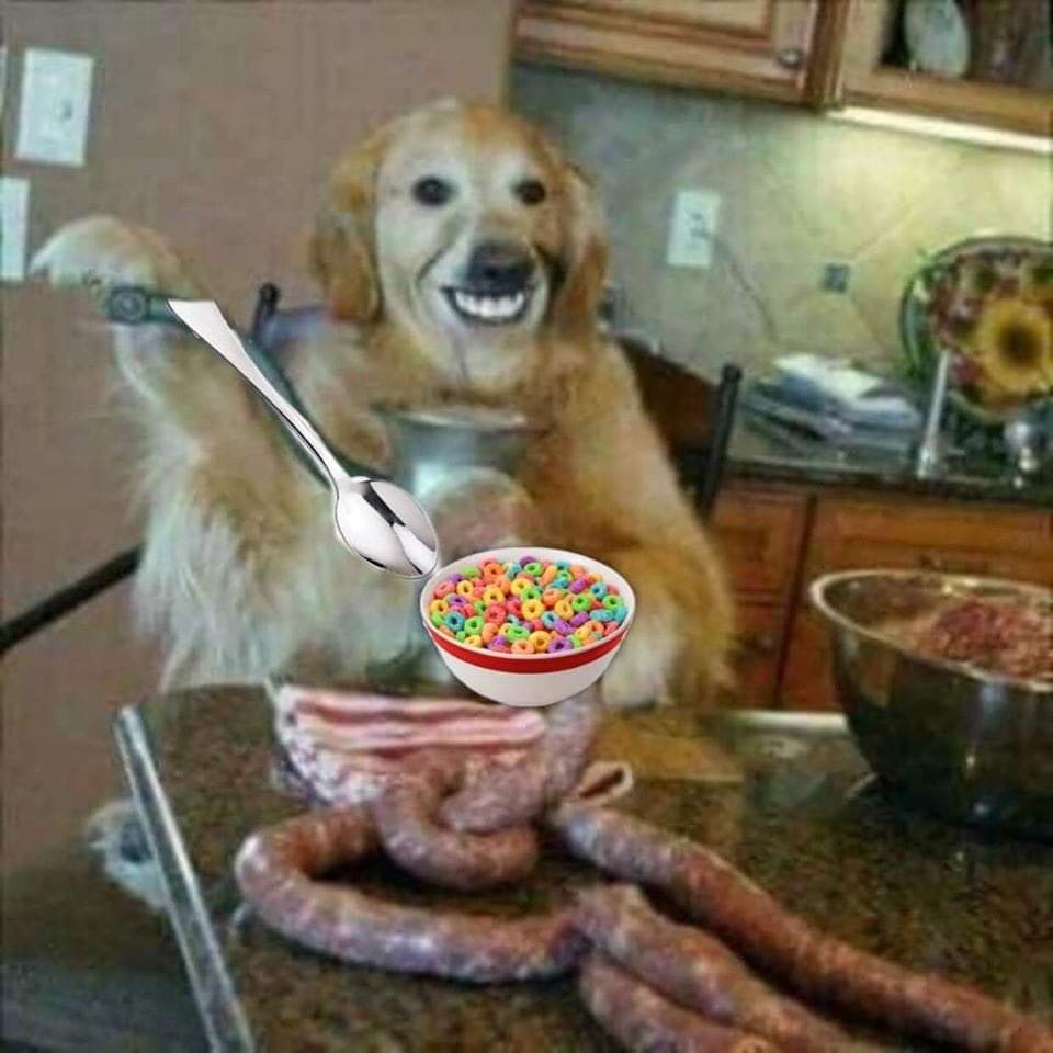 Memes del perro comiendo cereal con cuchara