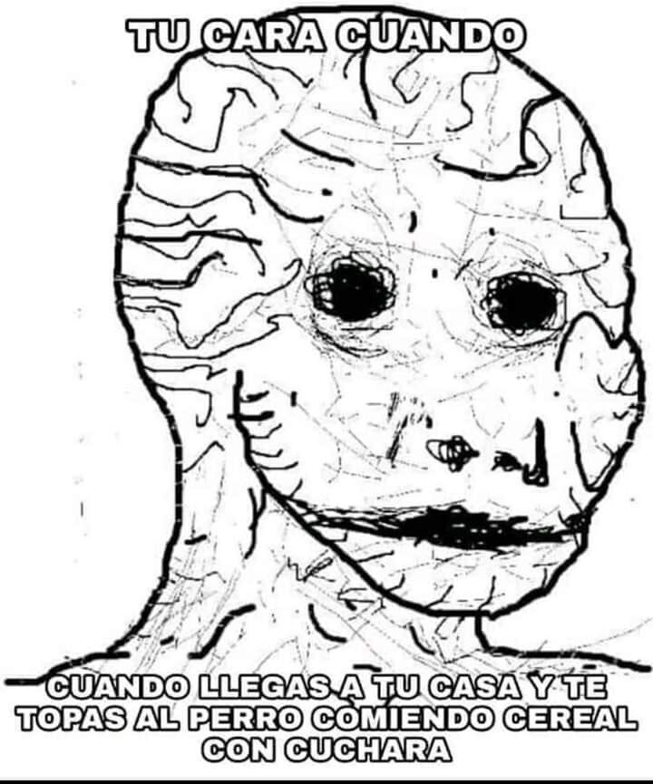 Memes del perro comiendo cereal con cuchara