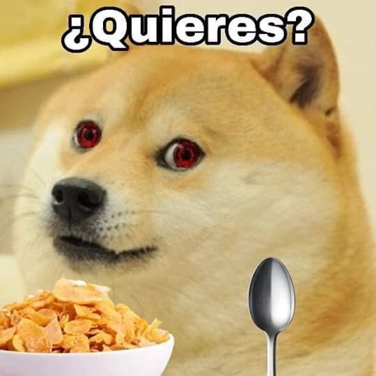 Memes del perro comiendo cereal con cuchara