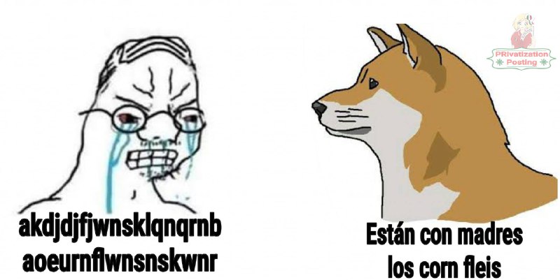 Memes del perro comiendo cereal con cuchara