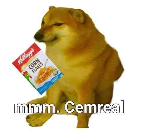 Memes del perro comiendo cereal con cuchara