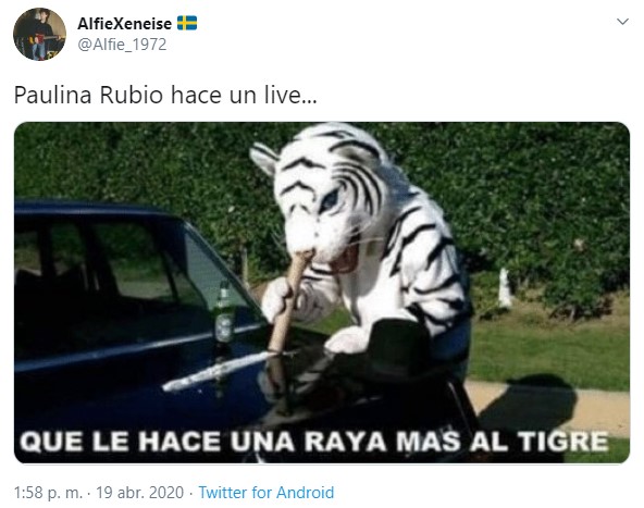 Paulina Rubio hace live drogada y genera polémica