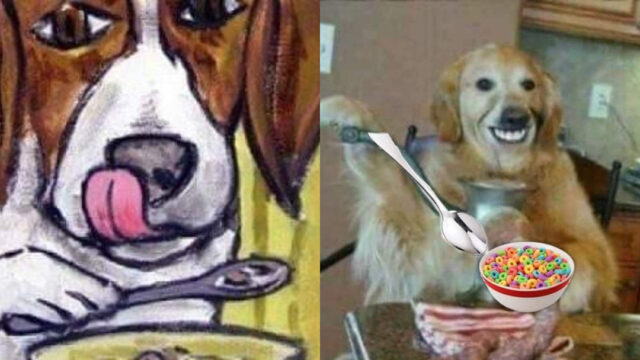 Perro comiendo cereal con cuchara historia real creepypasta