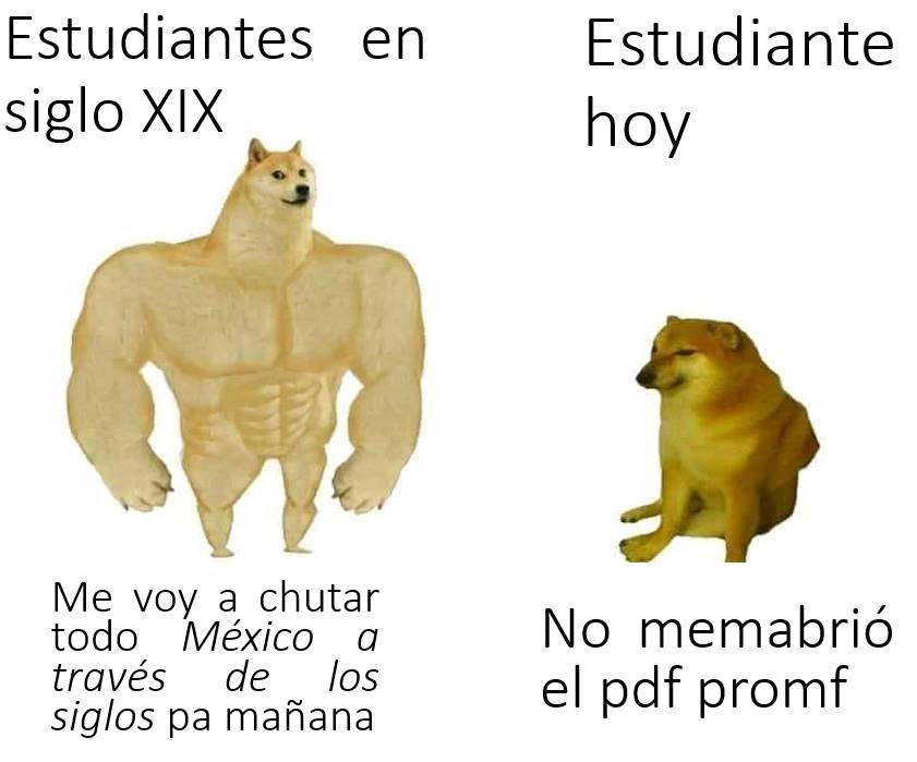 Memes de Cheems y Doge: el antes y ahora con perros