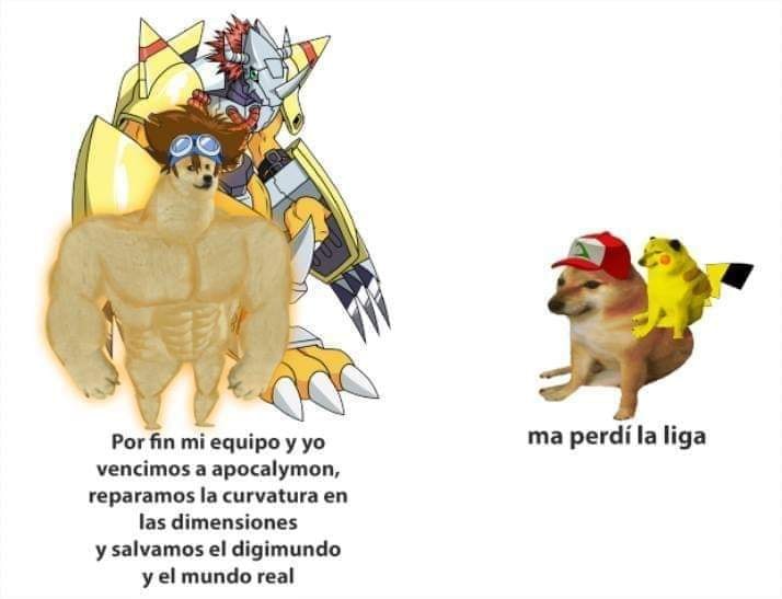 Memes de Cheems y Doge: el antes y ahora con perros