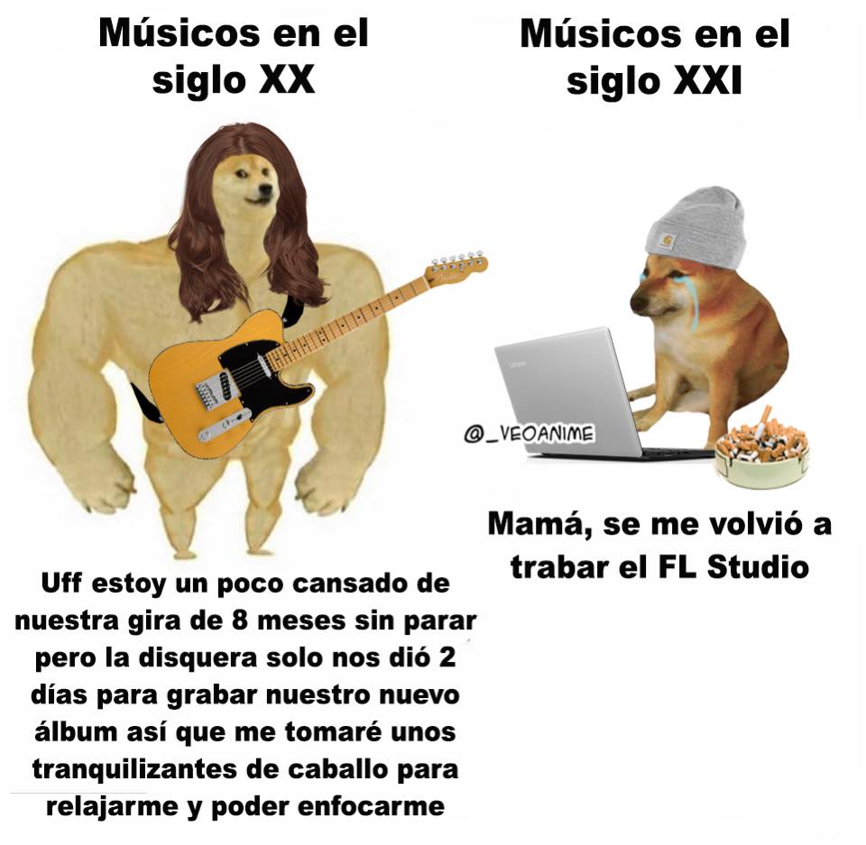 Memes de Cheems y Doge: el antes y ahora con perros