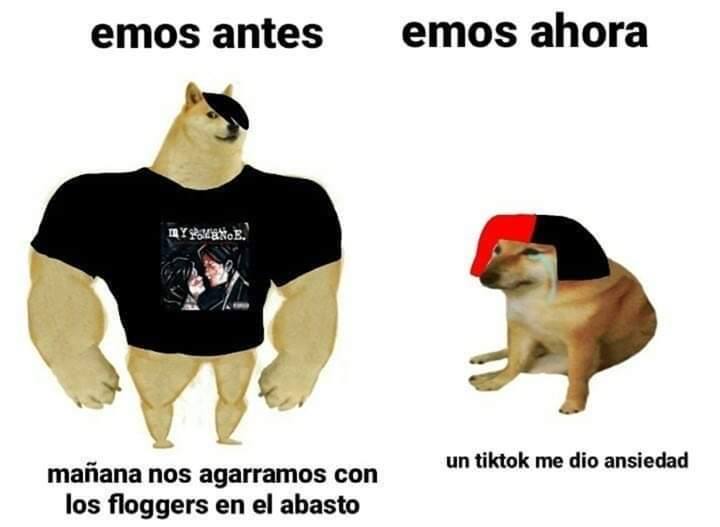 Memes de Cheems y Doge: el antes y ahora con perros