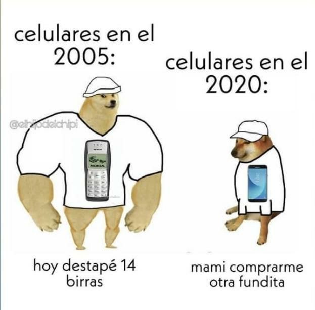 Memes de Cheems y Doge: el antes y ahora con perros