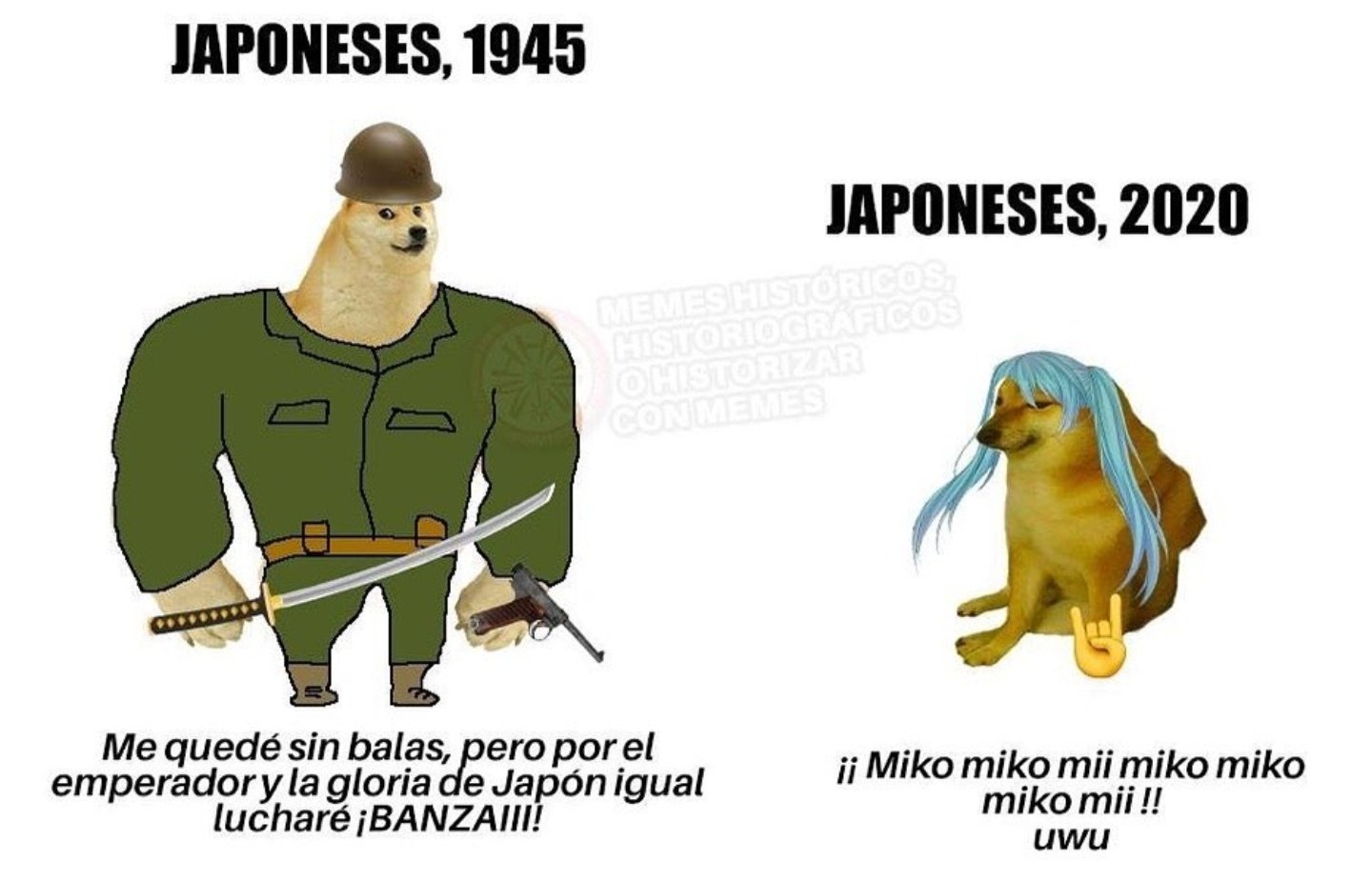 Memes de Cheems y Doge: el antes y ahora con perros
