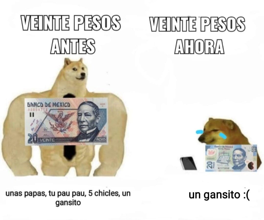 Memes de Cheems y Doge: el antes y ahora con perros