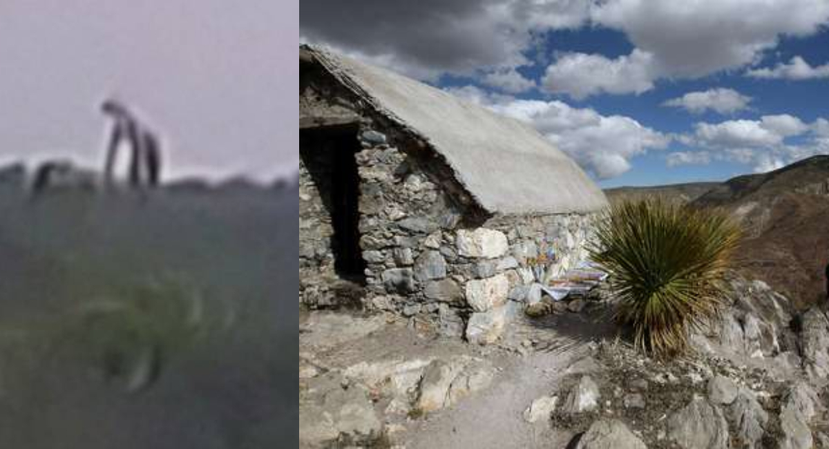 Alertan por avistamiento de Pie Gran en Tének, San Luis