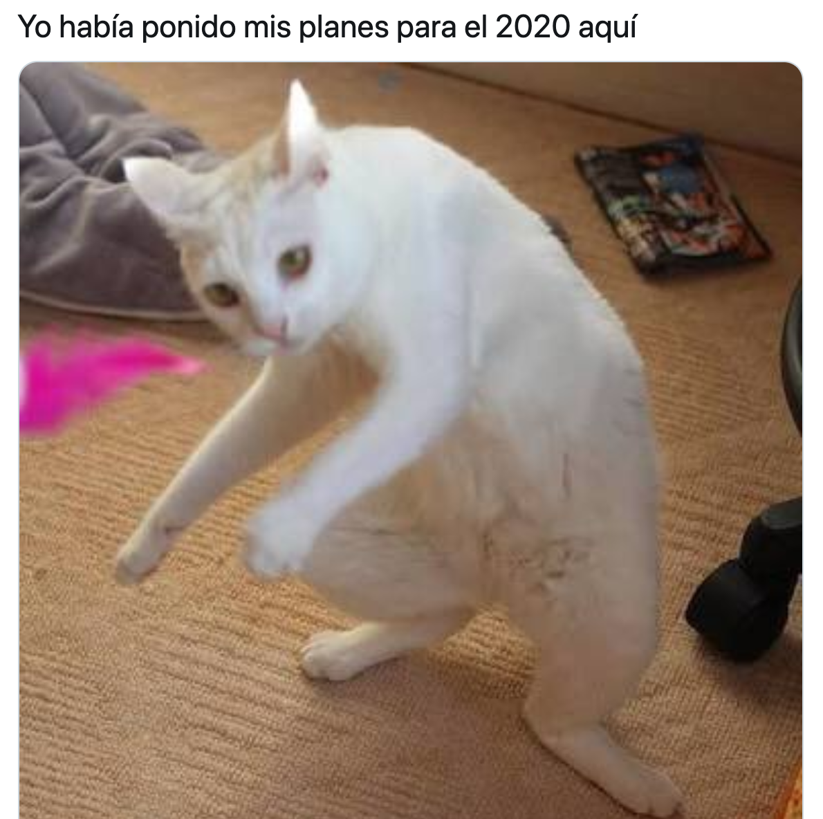 Memes mis planes el 2020