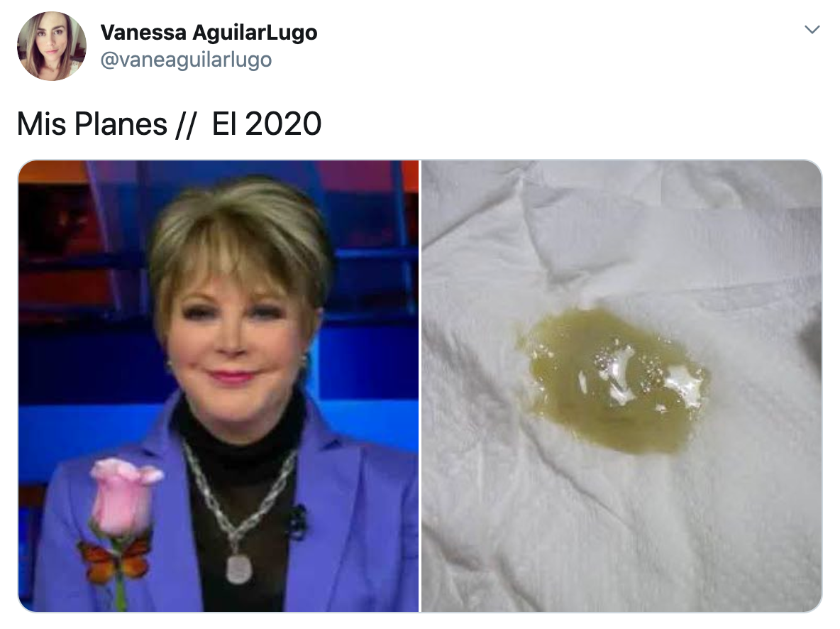 Memes mis planes el 2020