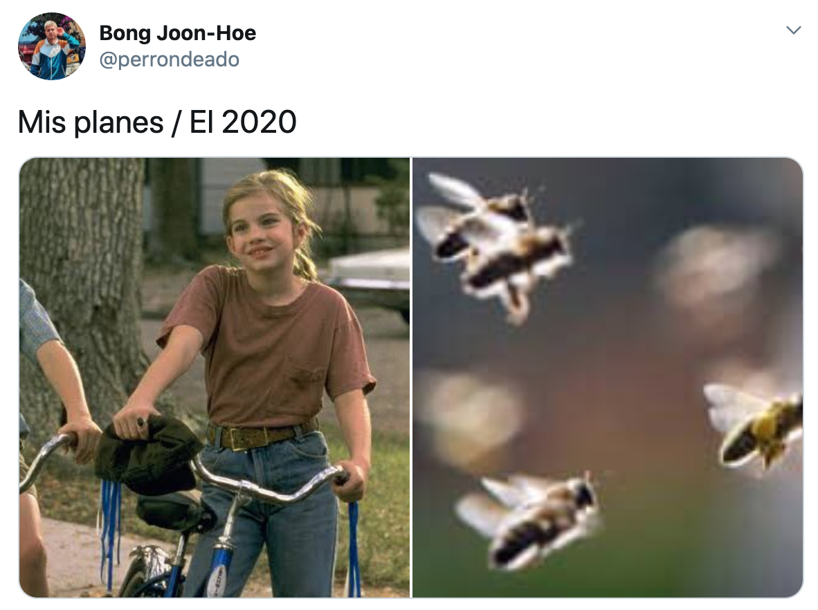 Memes mis planes el 2020