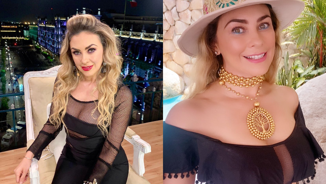 Aracely Arámbula muestra a sus hijos con Luis Miguel en vivo