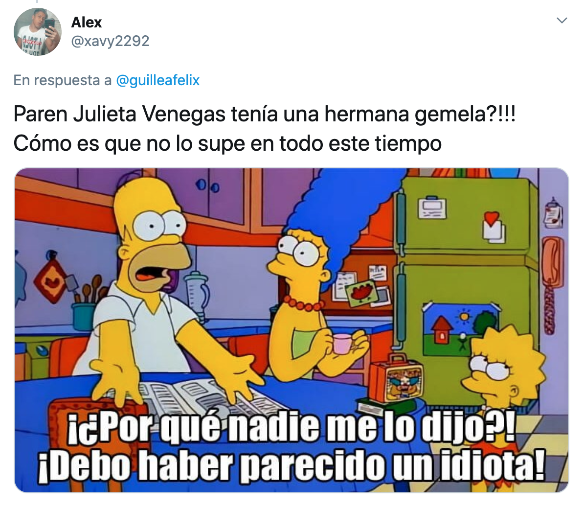 Julieta Venegas y su hermana desatan ola de memes por su parecido