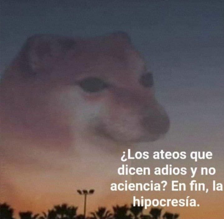 Memes de Cheems hipócrita