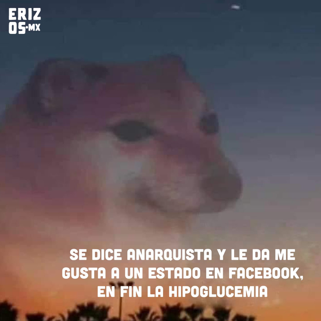 Meme perro en fin la hipocresía
