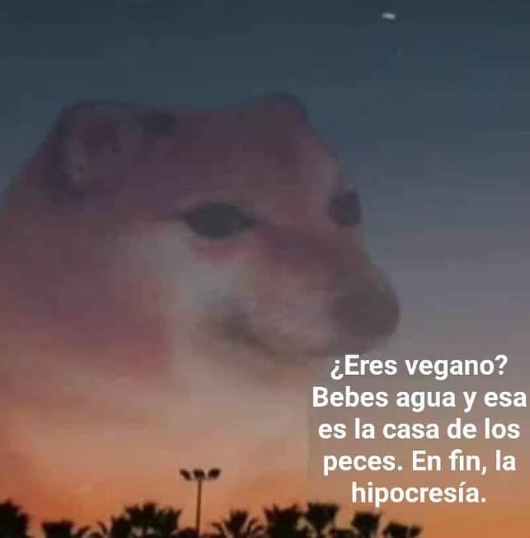 Memes en fin la hipocresía