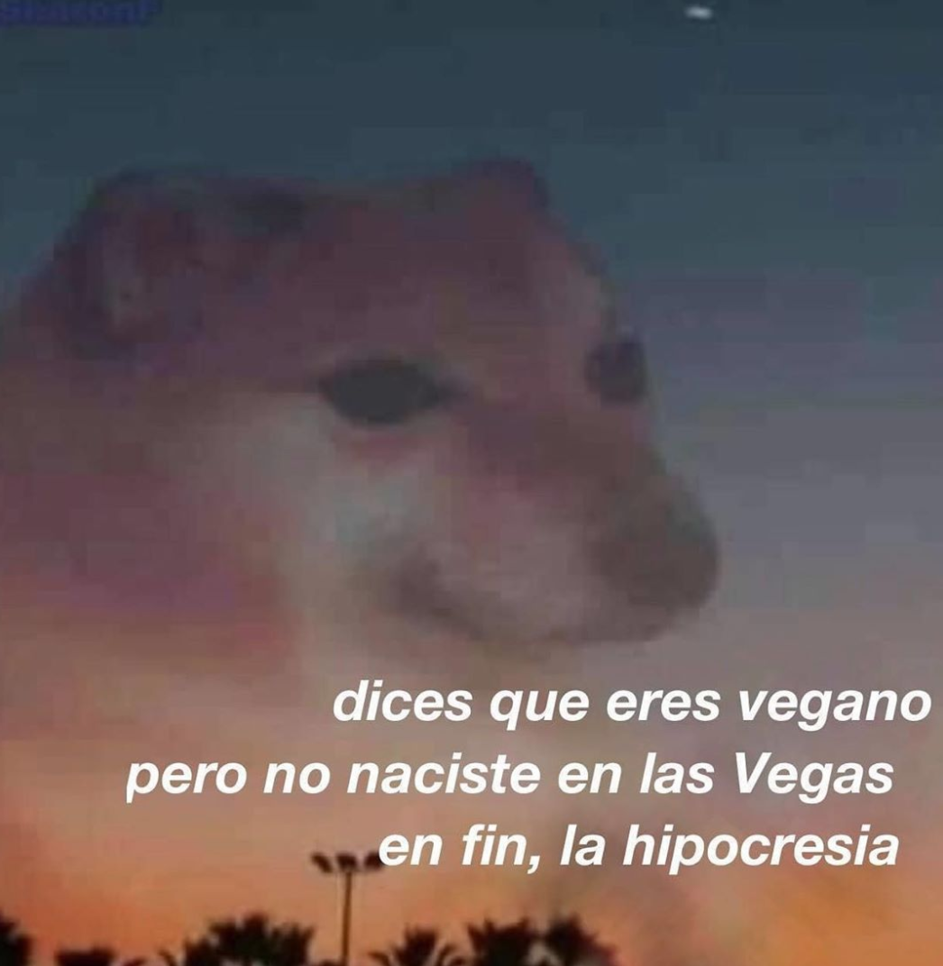 Memes en fin la hipocresía