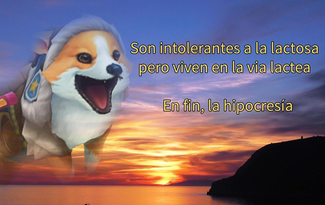 Memes en fin la hipocresía
