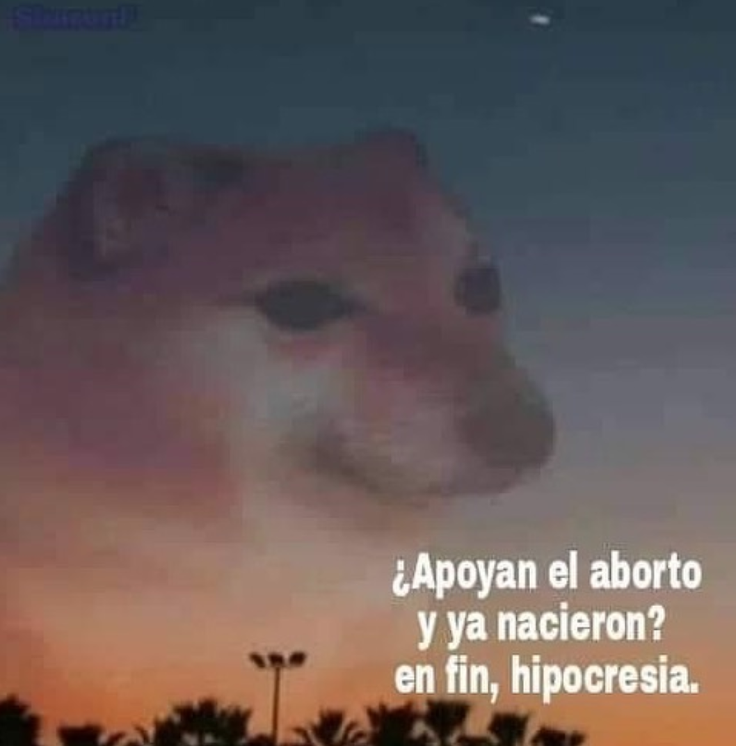 Memes en fin la hipocresía