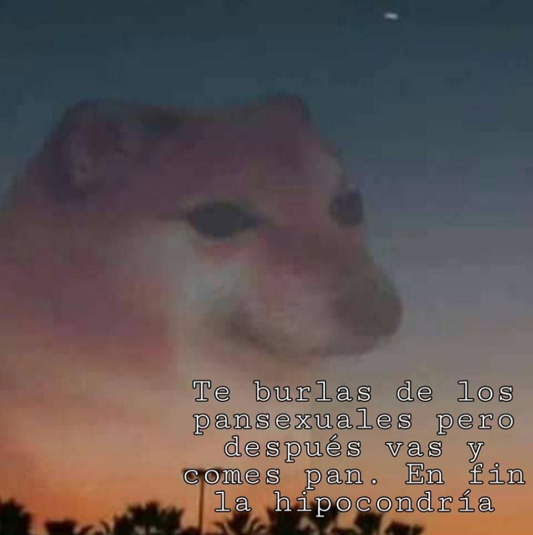 Memes en fin la hipocresía