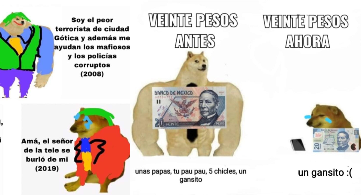 Memes de Cheems y Doge: el antes y ahora con perros