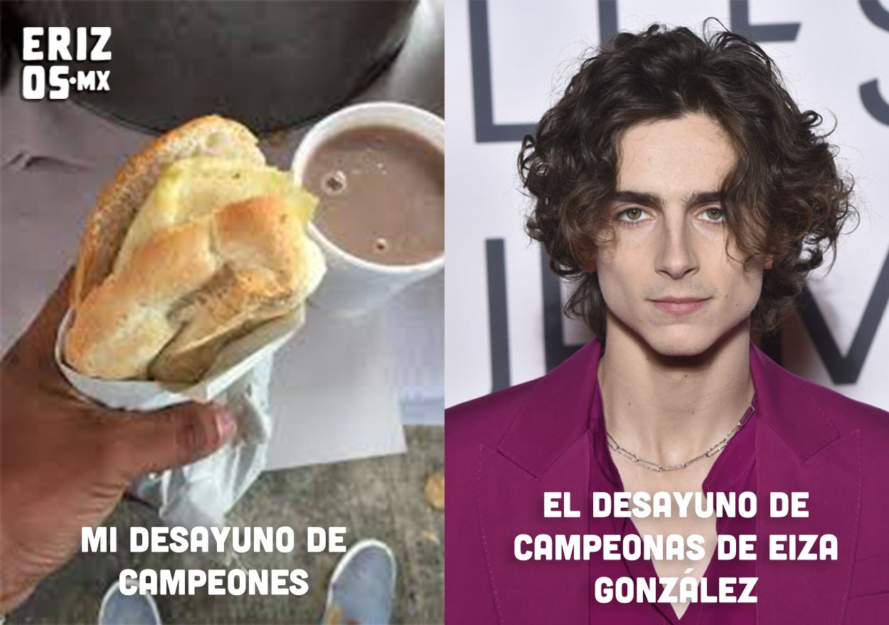 Memes de Eiza González y Timothée Chalamet