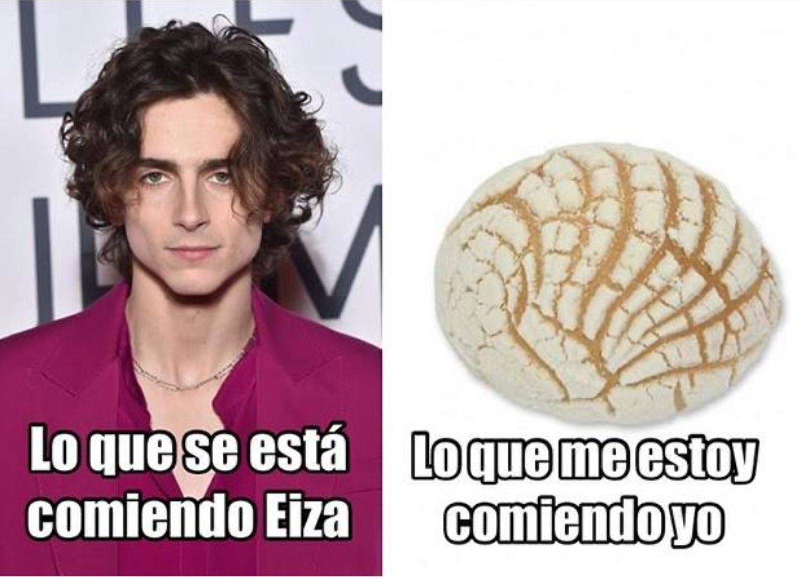 Memes de Eiza González y Timothée Chalamet