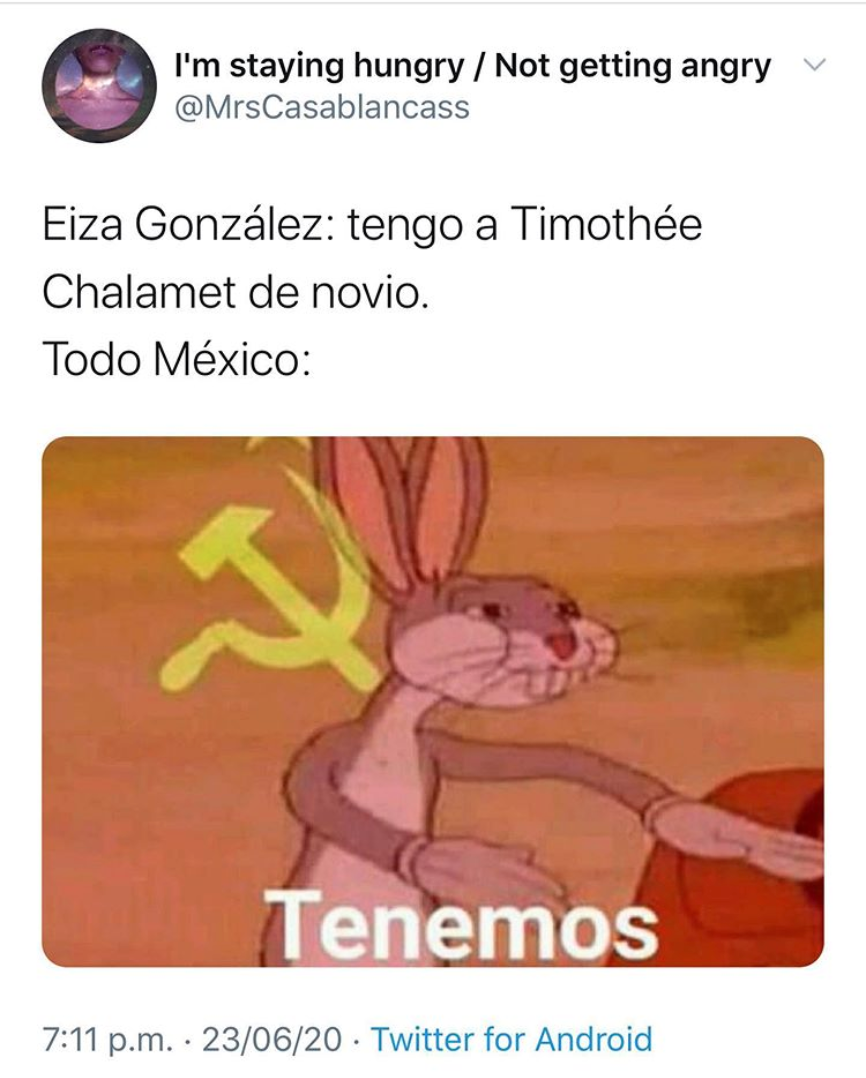 Memes de Eiza González y Timothée Chalamet