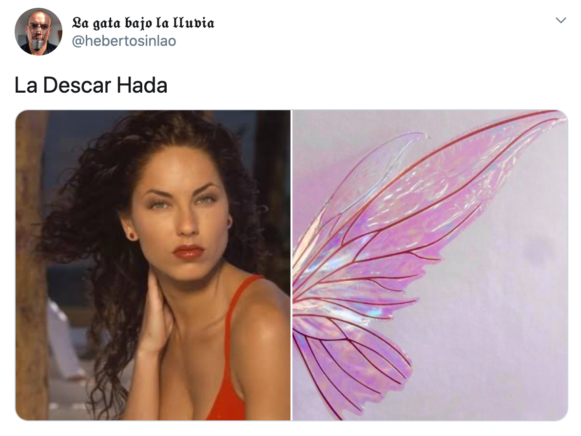 Memes de hada