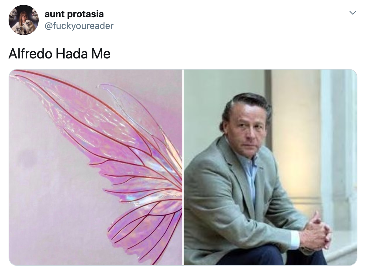 Memes de hada