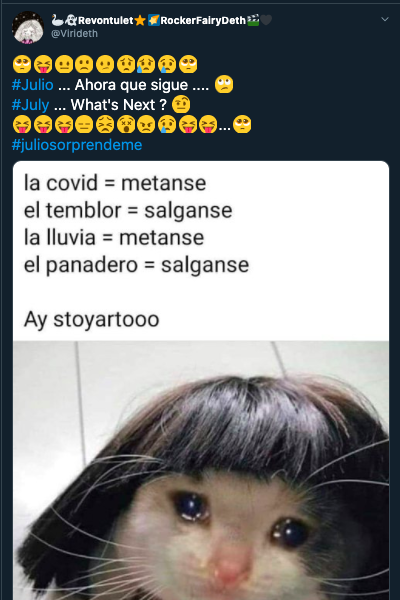 Julio ya comenzó y nos sorprende con estos memes